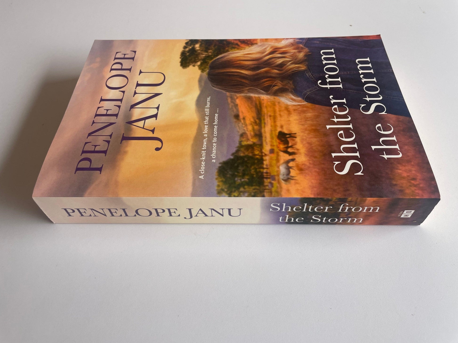 Book : Shelter from the storm by Penelope Janu - Scroll through thrift